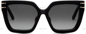 DIORSIGNATURE S10F系列