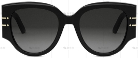 DIORSIGNATURE R2I系列