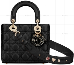 小号LADY DIOR MY ABCDIOR手袋