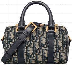 DIOR GROOVE 17微型手袋