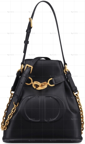 中号C'EST DIOR手袋
