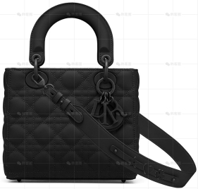 小号LADY DIOR MY ABCDIOR手袋