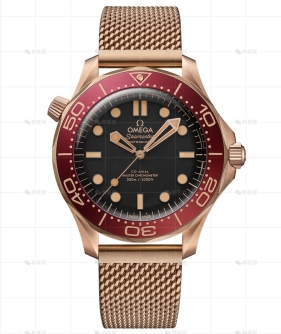 海马42MM机械青铜金