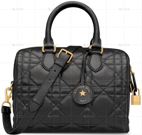 DIOR GROOVE 25手袋