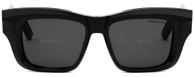 DIORXPLORER S2F系列