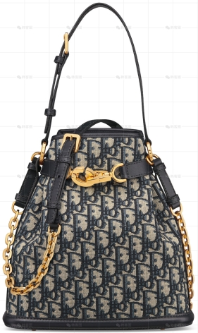 中号C'EST DIOR手袋